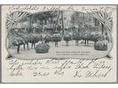 Los 1131 2