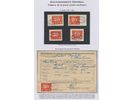 Lot 2384 5