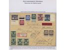 Lot 2384 7